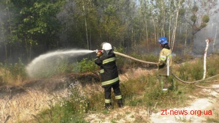 У Житомирі ліквідовано займання на території поблизу міського кладовища