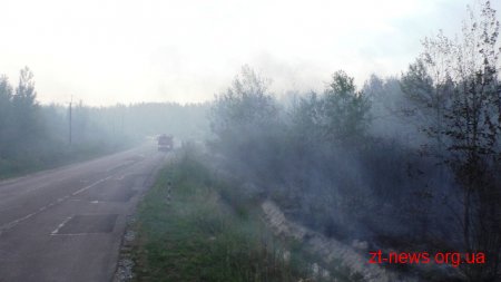 У Житомирі ліквідовано займання на території поблизу міського кладовища