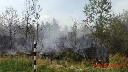 У Житомирі ліквідовано займання на території поблизу міського кладовища
