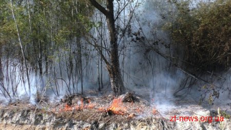 У Житомирі ліквідовано займання на території поблизу міського кладовища