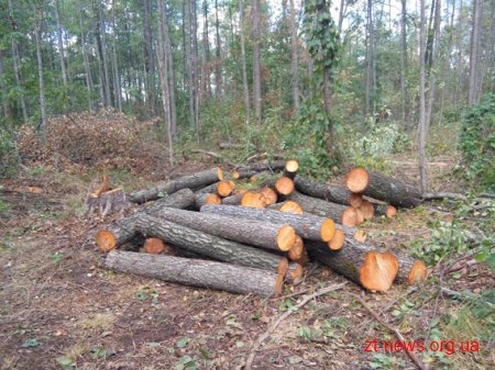 На Житомирщині лісівники захищаються від лісокрадів глибоким ровом