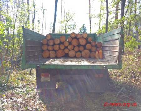 Коростенські міліціонери затримали підпільних лісорубів