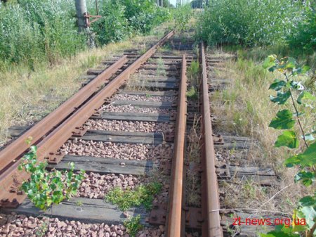 Коростенські правоохоронці затримали залізничних крадіїв