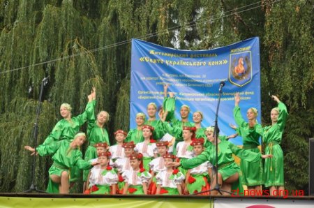 У Житомирі пройшов фестиваль «Свято українського коня»
