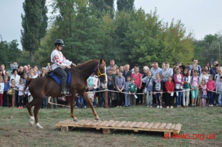 У Житомирі пройшов фестиваль «Свято українського коня»