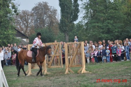 У Житомирі пройшов фестиваль «Свято українського коня»