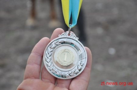 У Житомирі пройшов фестиваль «Свято українського коня»