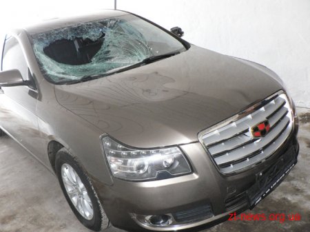 У Черняхівському районі правоохоронці затримали винуватця ДТП