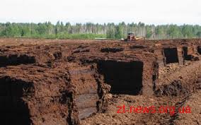 На Житомирщині шукають ефективних інвесторів для видобутку та переробки торфу На Житомирщині шукають ефективних інвесторів для видобутку та переробки торфу