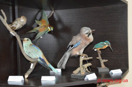 150-річний ювілей відзначає Житомирський обласний краєзнавчий музей