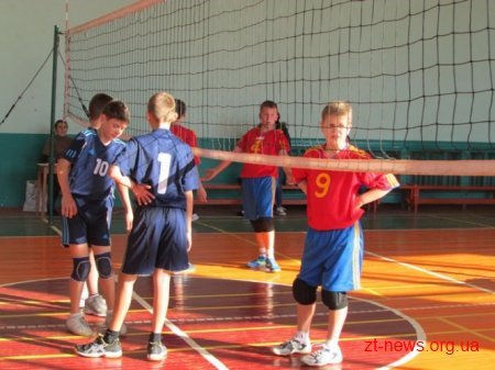 Волейбольна команда із Житомира завоювала бронзу