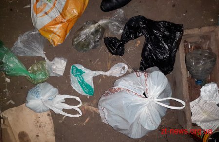 На Житомирщині правоохоронці вилучили з приватного будинку боєприпаси та наркотики