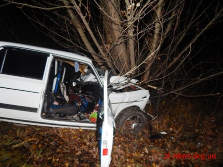 На Житомирщині надзвичайники деблокували тіла загиблих із понівеченого легковика