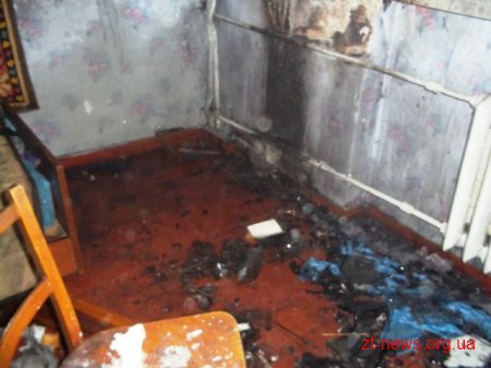 На Житомирщині вогнеборці врятували на пожежі трьох малолітніх дітей