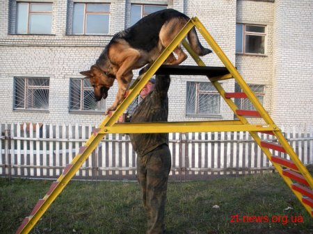 Чотирилапий друг для родини загиблого Героя