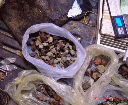 В Житомирі на Антикорупційному форумі піднімали питання незаконного видобутку бурштину