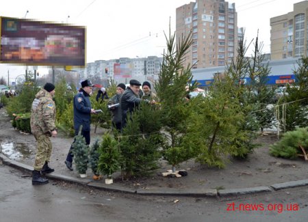 Житомирські поліцейські разом з екологами проводять "ялинкові" рейди