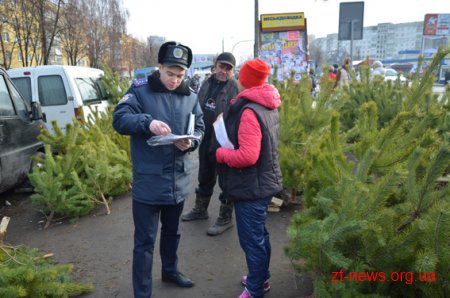 Житомирські поліцейські разом з екологами проводять "ялинкові" рейди