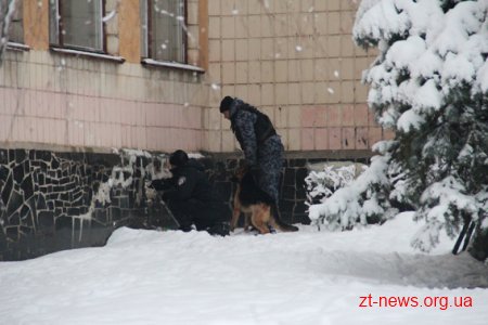 У Житомирі "замінували" школу