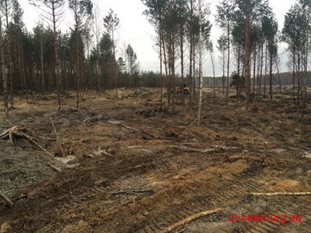 На Житомирщині правоохоронці "закривають" нелегальні копальні бурштину
