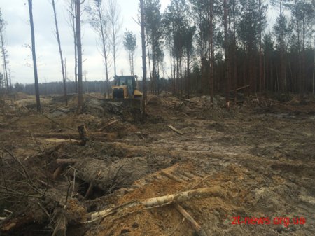На Житомирщині правоохоронці "закривають" нелегальні копальні бурштину