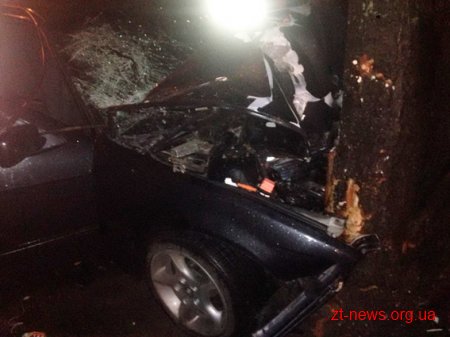 У Житомирі автомобіль врізався в дерево