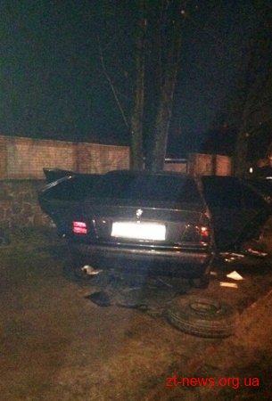 У Житомирі автомобіль врізався в дерево