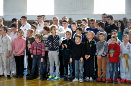 У Житомирі урочисто відкрили чемпіонат області з рукопашного бою