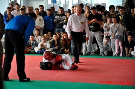 У Житомирі урочисто відкрили чемпіонат області з рукопашного бою
