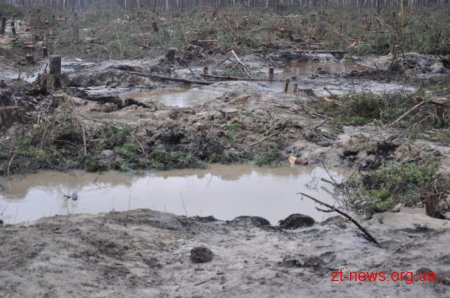 Сергій Машковський відвідав незаконні бурштинові копальні