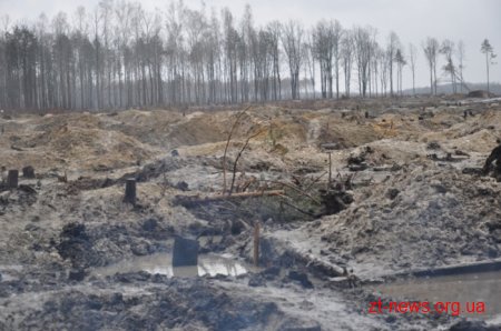 Сергій Машковський відвідав незаконні бурштинові копальні