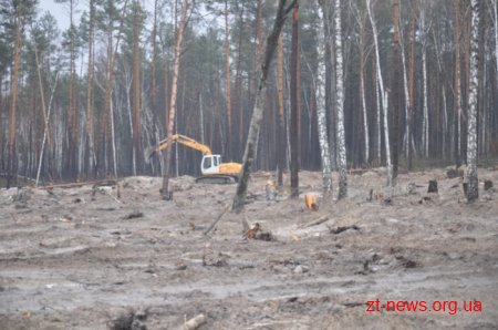 Сергій Машковський відвідав незаконні бурштинові копальні
