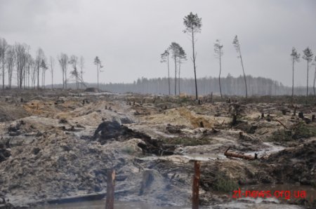 Сергій Машковський відвідав незаконні бурштинові копальні