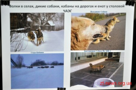 У Житомирі згадують минуле і обговорюють сьогодення Чорнобильської трагедії