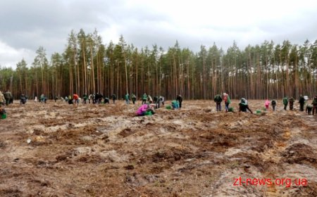 Представники Мінагрополітики посадили ліс на Житомирщині