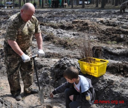 Діти та представники влади посадили ліс на Житомирщині