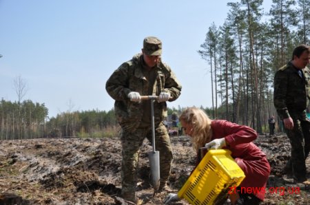 Діти та представники влади посадили ліс на Житомирщині