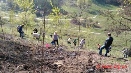 У Житомирі саджали дерева представники агроустанов