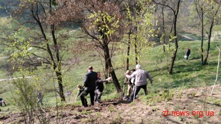 У Житомирі саджали дерева представники агроустанов