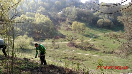 У Житомирі саджали дерева представники агроустанов