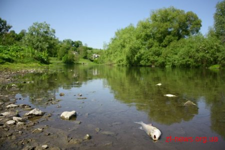 У Баранівському районі перевіряють причини забруднення води