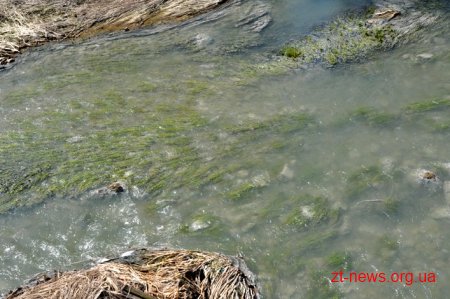 В Баранівському районі заборонено використання води з річок Случ та Хомора