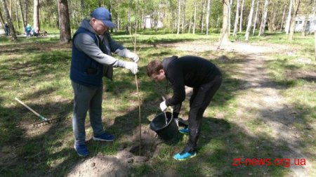 16 машин сміття, посаджені алеї горобини, клену та квітів – результати загального прибирання