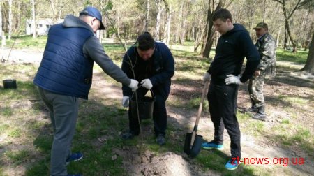 16 машин сміття, посаджені алеї горобини, клену та квітів – результати загального прибирання