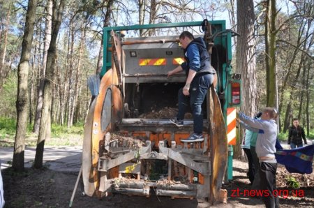 16 машин сміття, посаджені алеї горобини, клену та квітів – результати загального прибирання