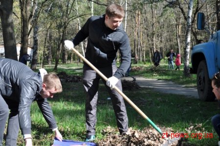 16 машин сміття, посаджені алеї горобини, клену та квітів – результати загального прибирання