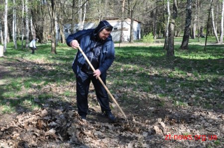 16 машин сміття, посаджені алеї горобини, клену та квітів – результати загального прибирання