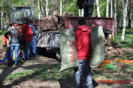 16 машин сміття, посаджені алеї горобини, клену та квітів – результати загального прибирання