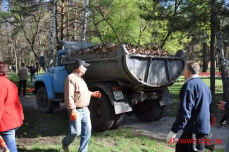 16 машин сміття, посаджені алеї горобини, клену та квітів – результати загального прибирання