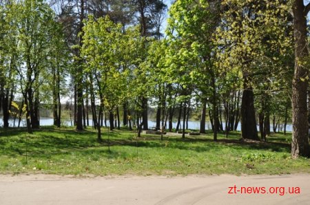 16 машин сміття, посаджені алеї горобини, клену та квітів – результати загального прибирання